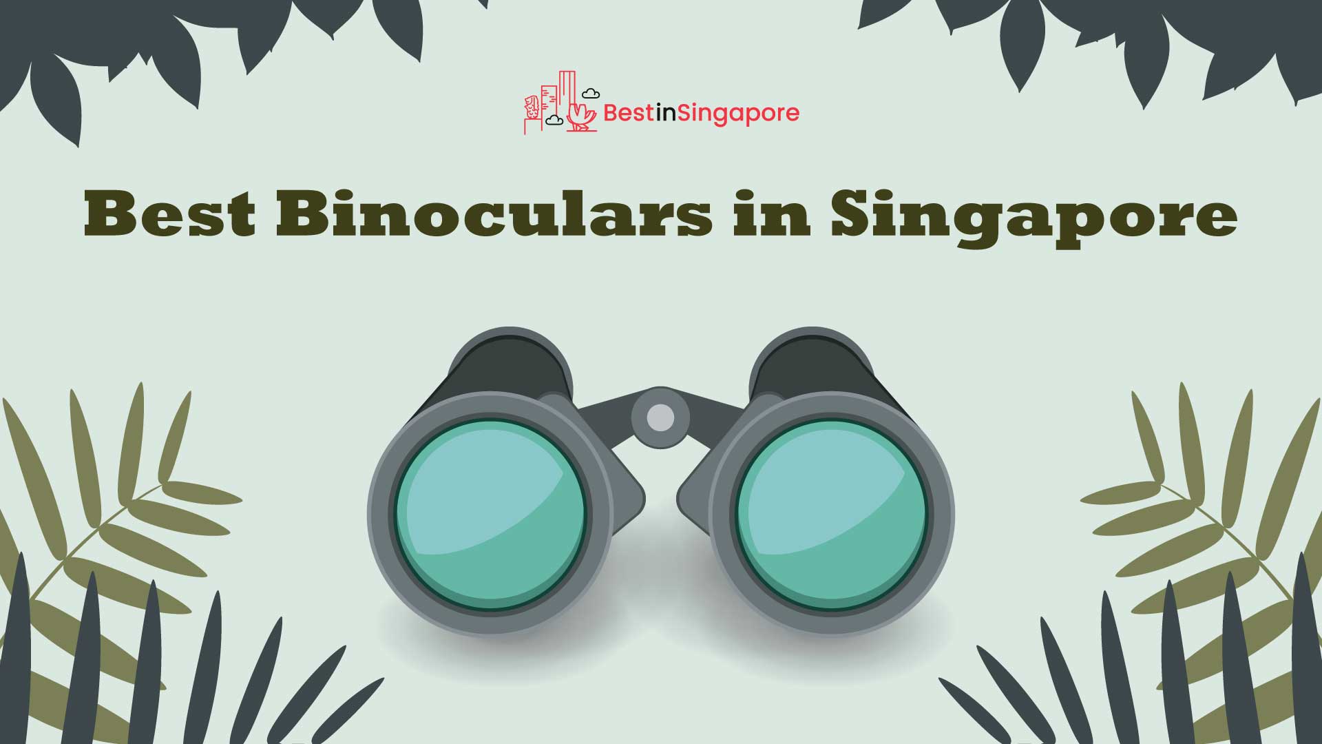 Best Binoculars Singapore