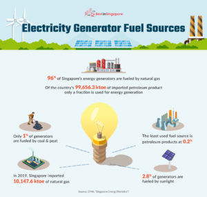 Electricity Generator Fuel Sources
