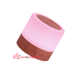 DENWAY LED Bedside lamp dimmable Atmosphere Table lamp | Best in Singapore