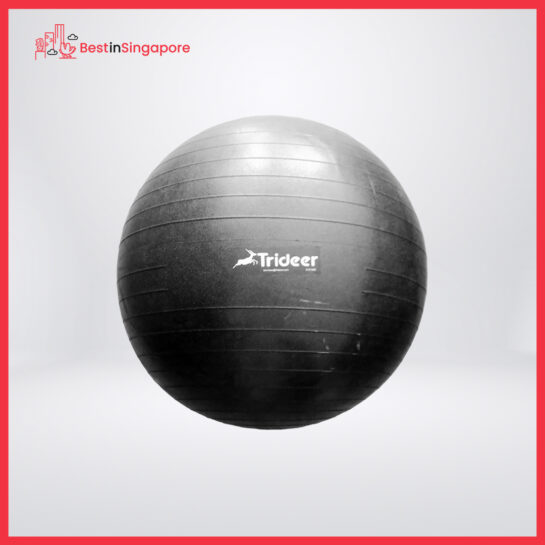 Trideer Exercise Ball
