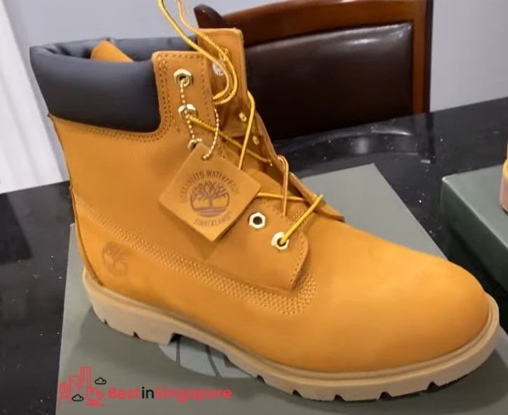 Timberland Basic Alburn Boot_2022_best in singapore