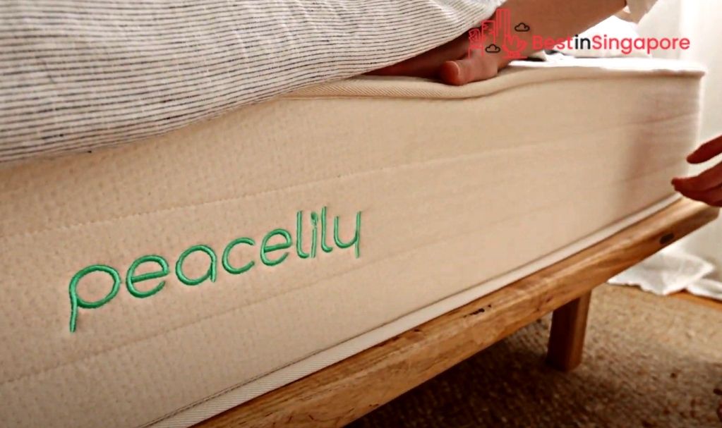 Peacelily Mattress_2022_best in singapore