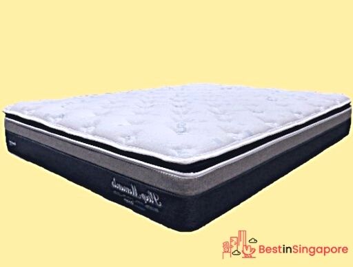 Maxcoil Sleep Moment Individual Pocketed Spring Natural Latex Pillow Top Mattress_2022_best in singapore