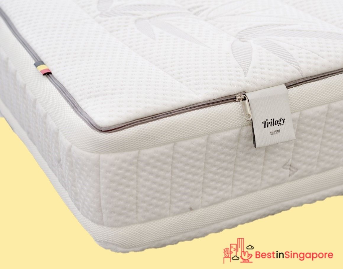 Sofzsleep Trilogy Mattress_2022_best in singapore