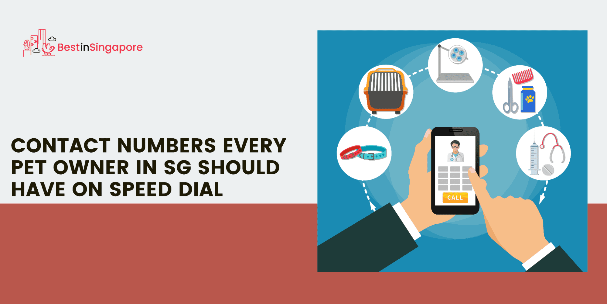 6 Numbers to Have on Speed-Dial for Pet Owners in SG