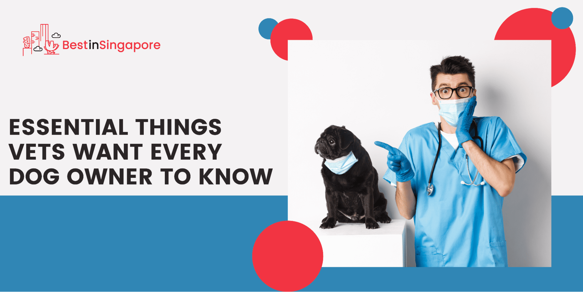 6 Things Veterinarians Want Dog Owners to Know
