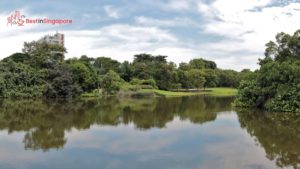 Eco-Garden and Eco-Lake