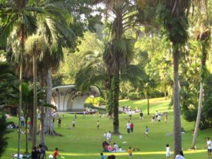 Go on a Picnic at Palm Valley