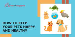 How To Keep Your Pets Happy and Healthy