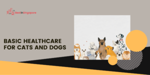 Routine Health Care Services for Cats and Dogs