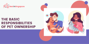 Top Responsibilities of a Pet Owner