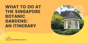 What to Do at the Singapore Botanic Gardens An Itinerary
