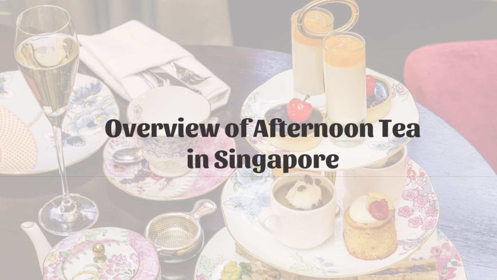 What to Expect and Where to Go