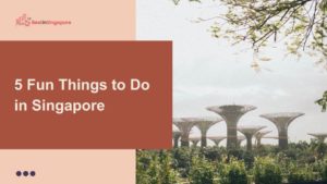 5 Fun Things to Do in Singapore