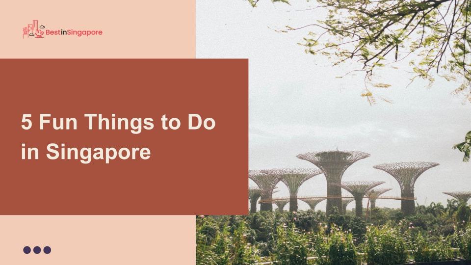 5 Fun Things to Do in Singapore