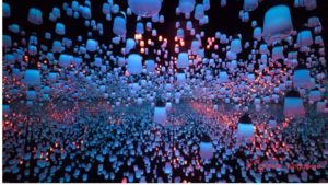 Art and science immersion