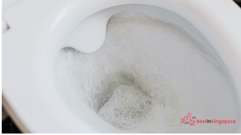Disposable toilet seat covers