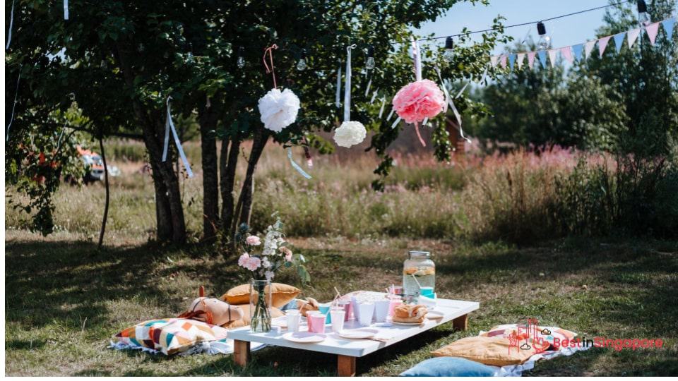 Have a Backyard Picnic (and Watch the Sun Set)