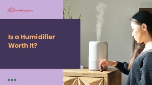 Is a Humidifier Worth It