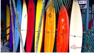 Ride the Waves