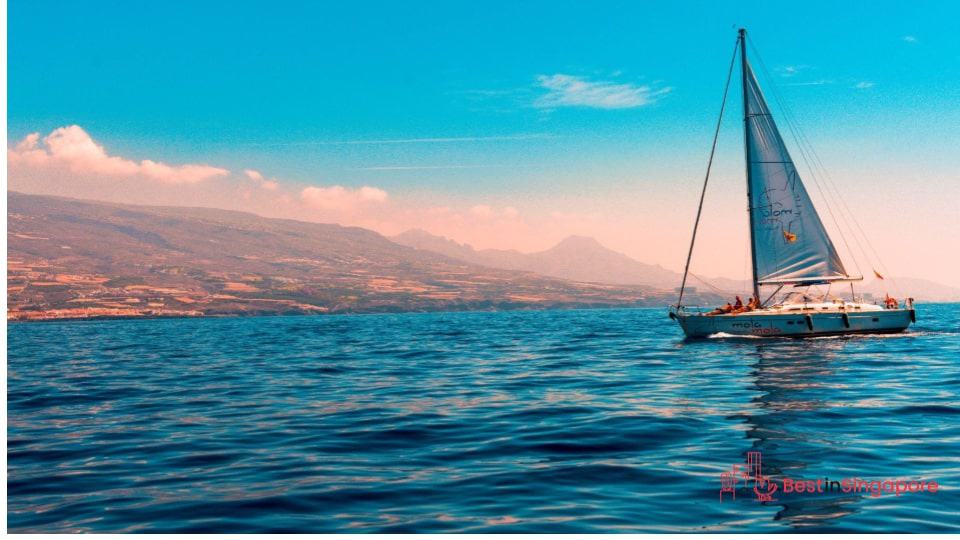 Sailing and swimming