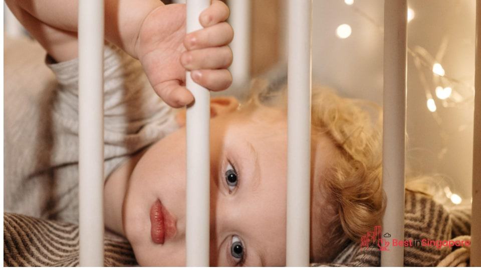Use Safety Gates Around Small Children and Pets