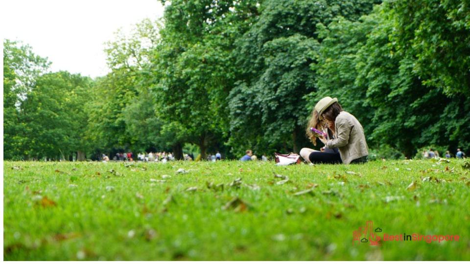 Walk in a park