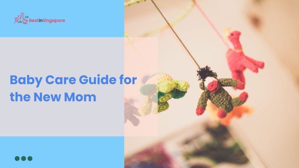 Baby Care Guide for the New Mom
