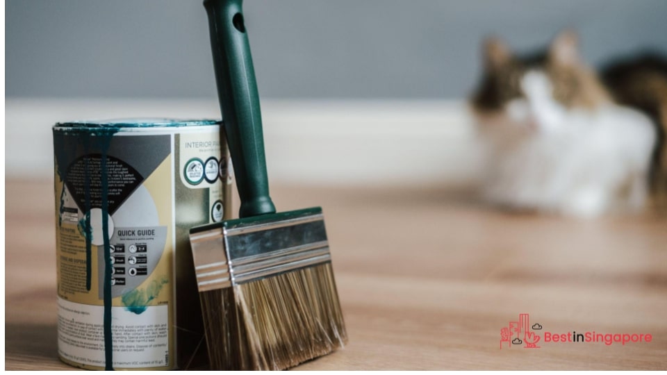 Choose what type and colour of paint to use