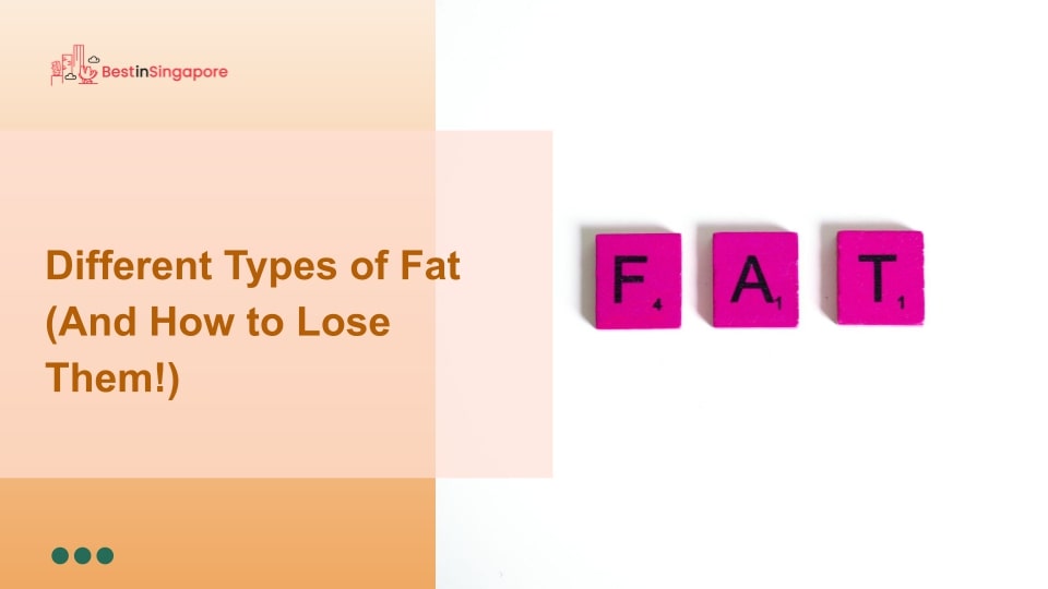 Different Types of Fat (And How to Lose Them!)