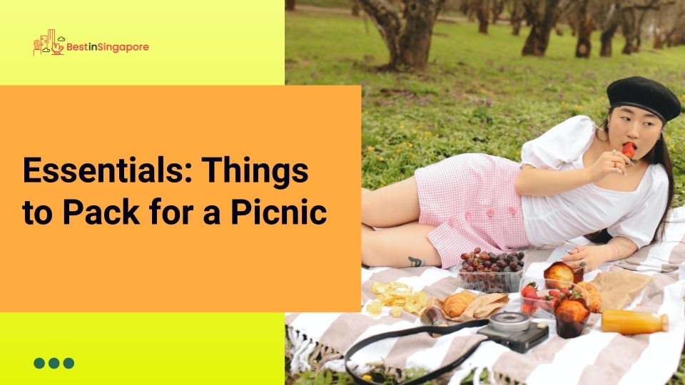 Essentials Things to Pack for a Picnic