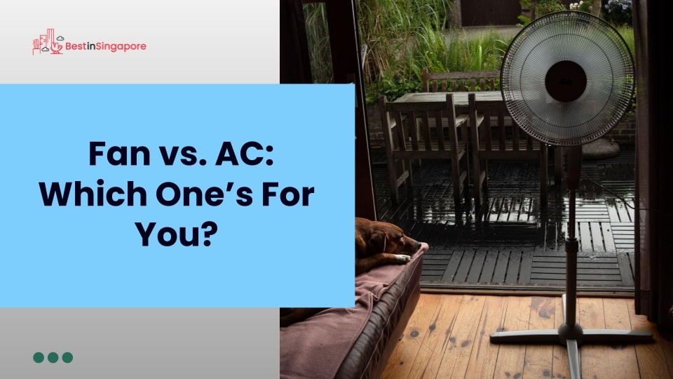 Fan vs. AC Which One’s For You
