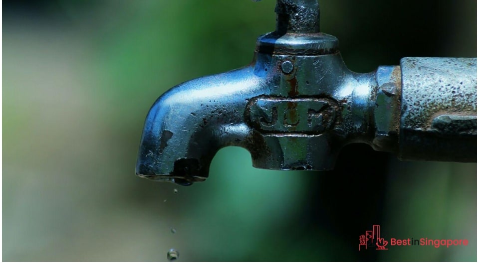 Fix all leaky faucets and pipes