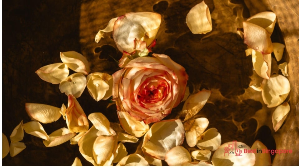 Float flowers in water