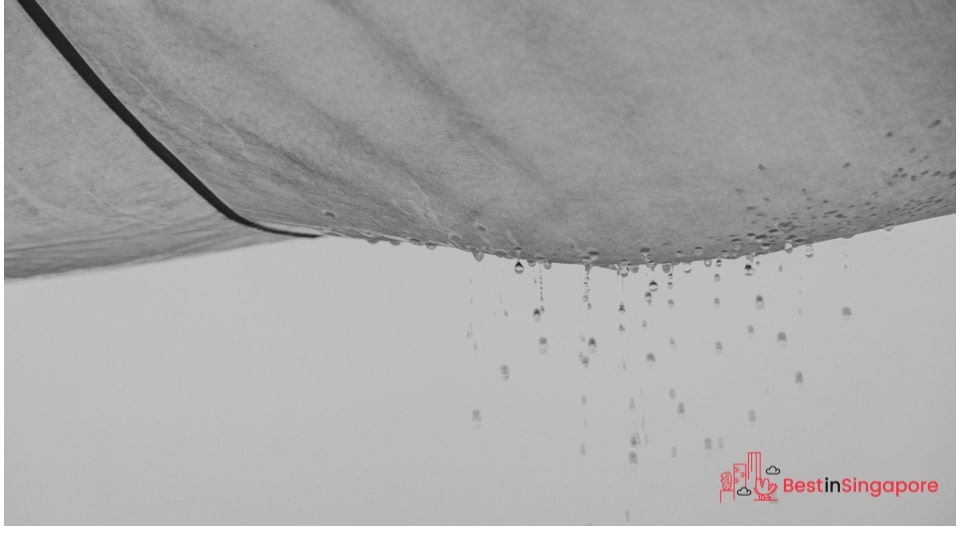 Get leaks and seepage fixed ASAP