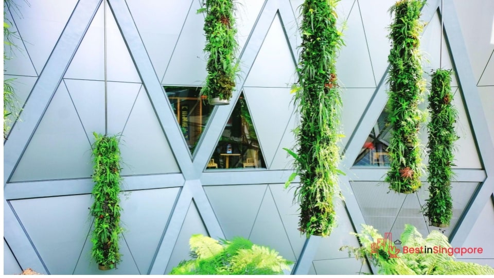 Have a vertical garden
