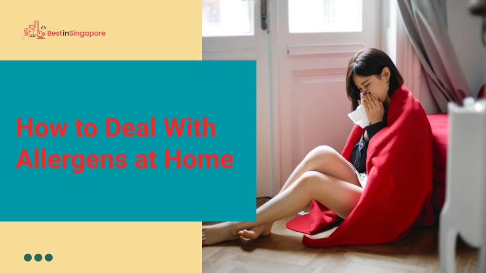 How to Deal With Allergens at Home
