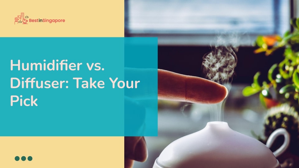 Humidifier vs. Diffuser Take Your Pick