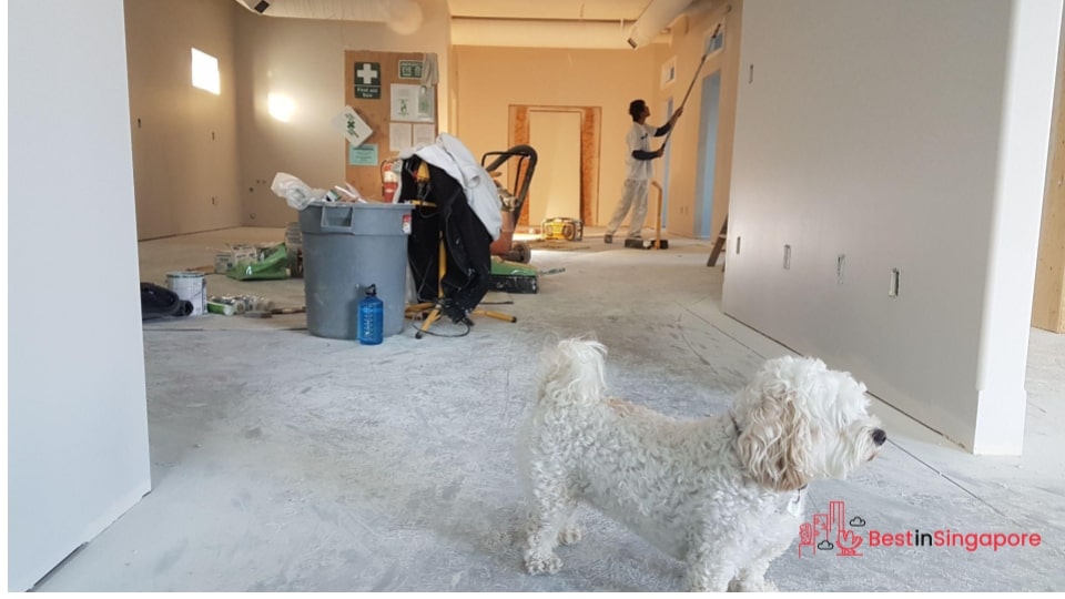 It can help you improve your home (and lifestyle)