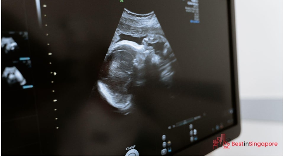 Maternity coverage