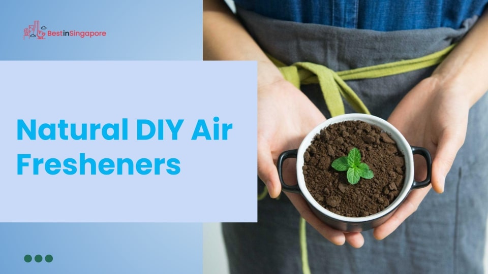 Natural DIY Air Fresheners to Freshen Your Home