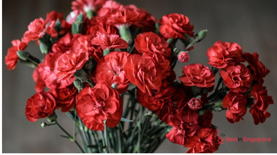 Select flowers with a long shelf life