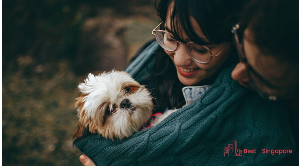 To give your pet its best life