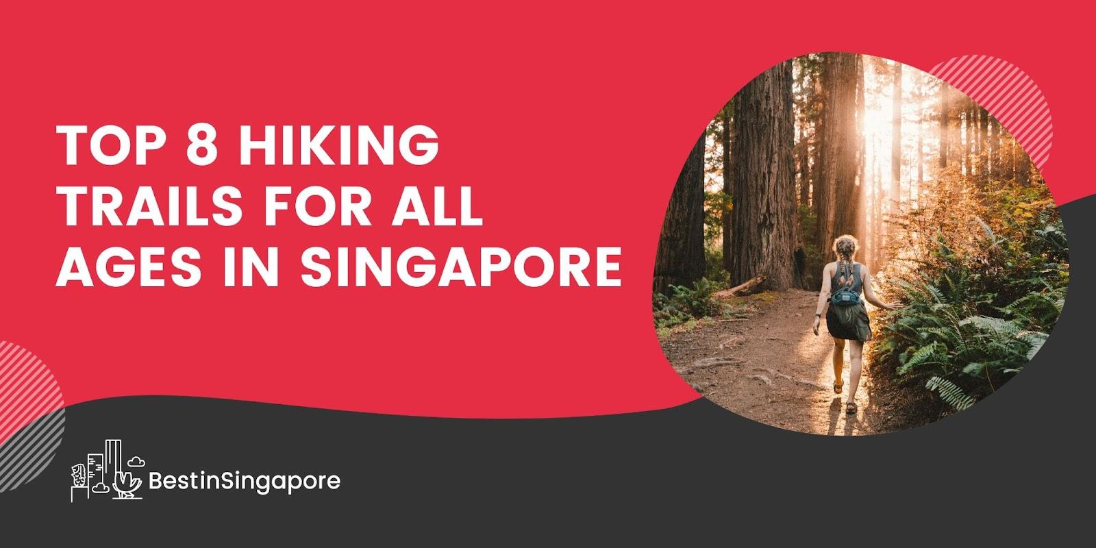 Top 8 Hiking Trails for All Ages in Singapore
