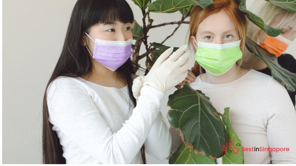 Watch out for mould or fungi in indoor plants
