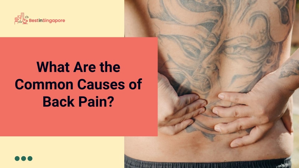 What Are the Common Causes of Back Pain