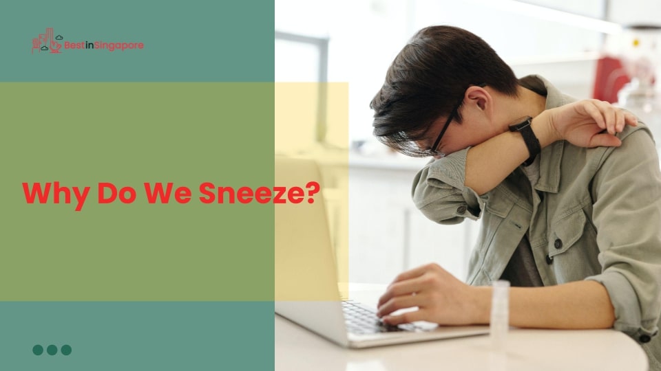 Why Do We Sneeze