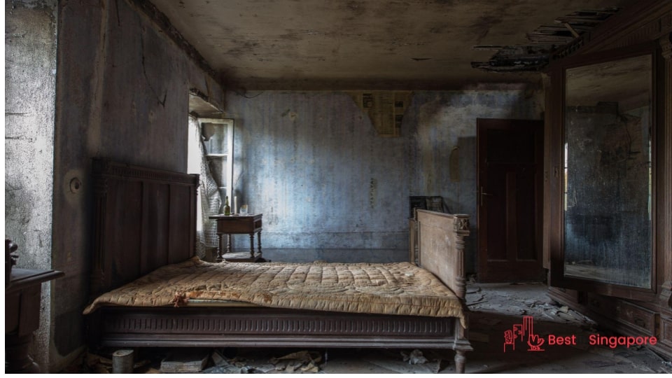 Your mattresses and pillows