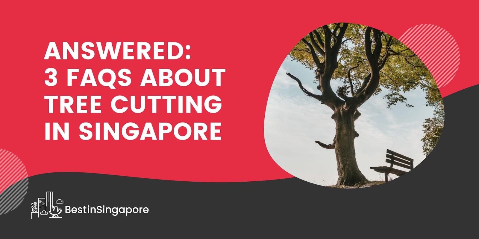 Answered 3 FAQS about Tree Cutting in Singapore