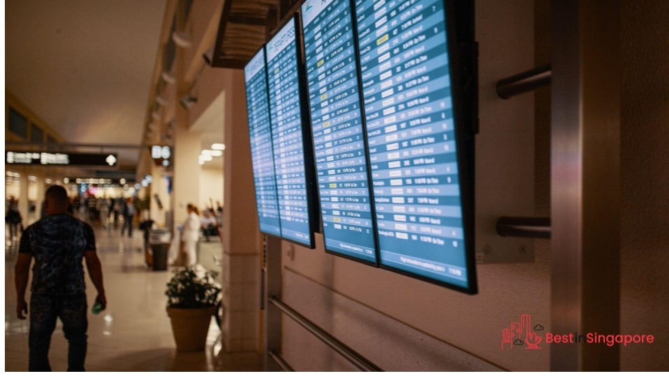 Choose the cheapest days for a flight